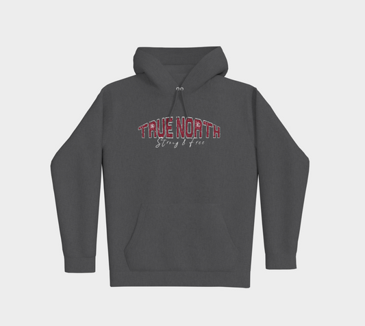 True North Strong and Free Premium Hoodie Light Outline