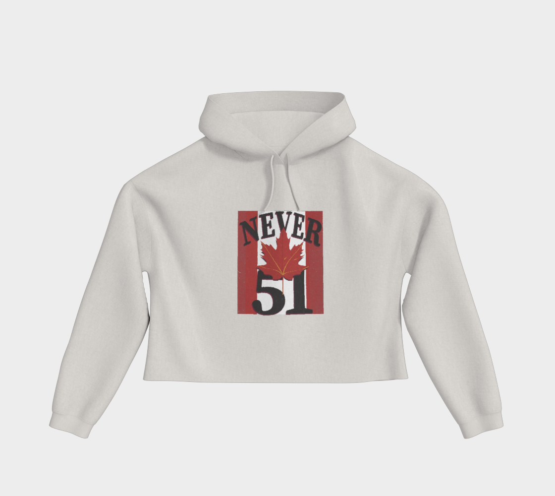 Never 51 Cropped Pullover Hoodie