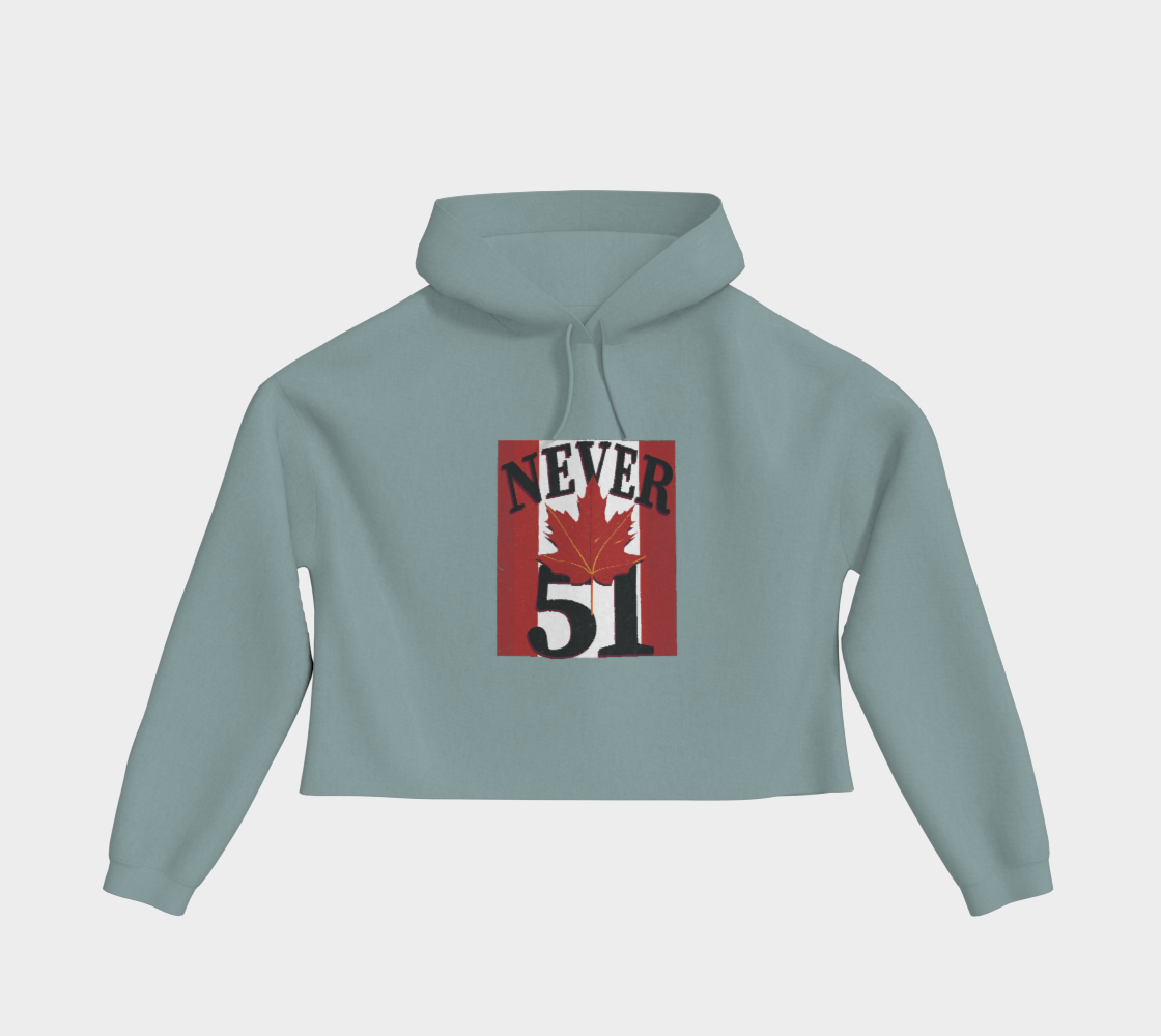 Never 51 Cropped Pullover Hoodie
